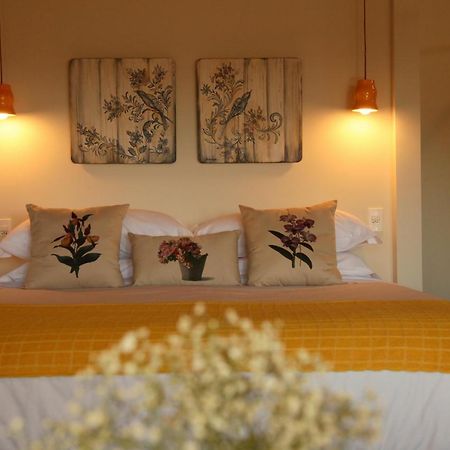 Solario Chales Hotell Bueno Brandão Exteriör bild